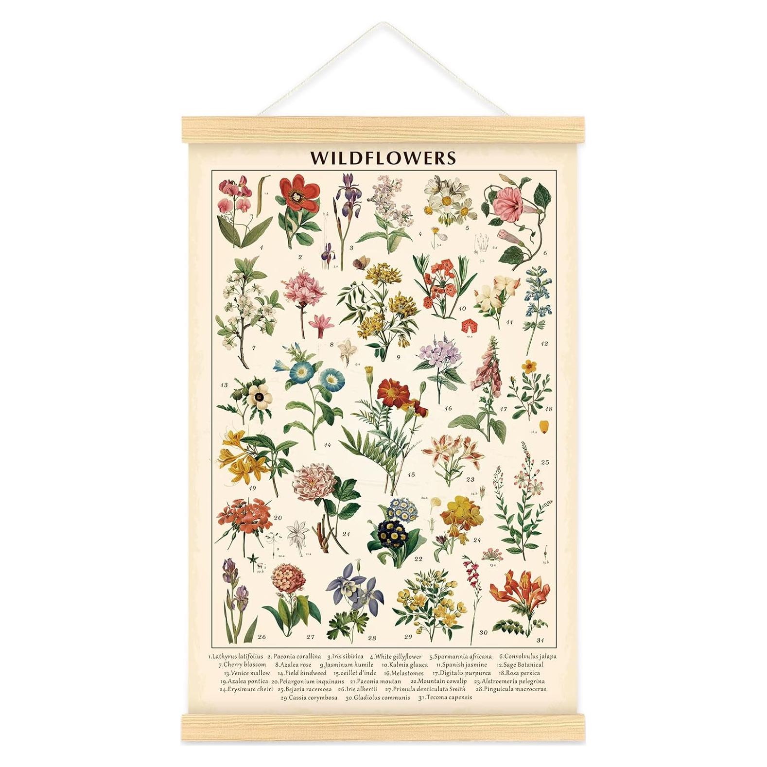 Póster Vintage de Flores Silvestres 40x60 cm con Marco