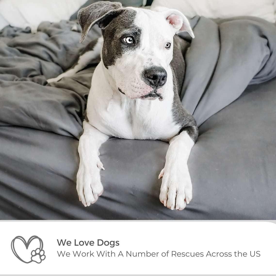 Juego de Sábanas Rey 6p Viscosa Bambú Wooflinen Gris Moderno