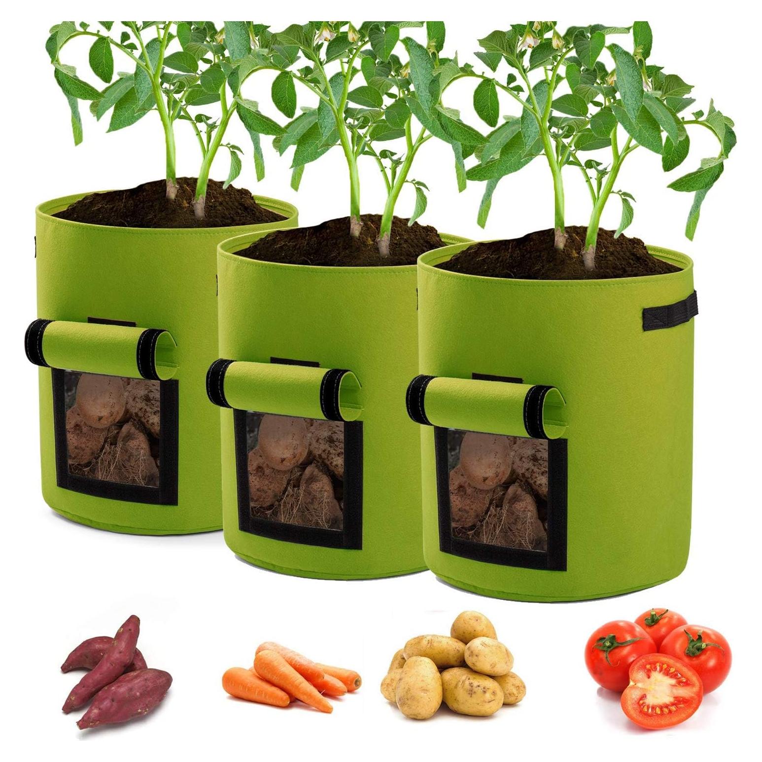 Bolsas de Crecimiento para Plantas Garden4Ever 26.5L 3-Pack Verde