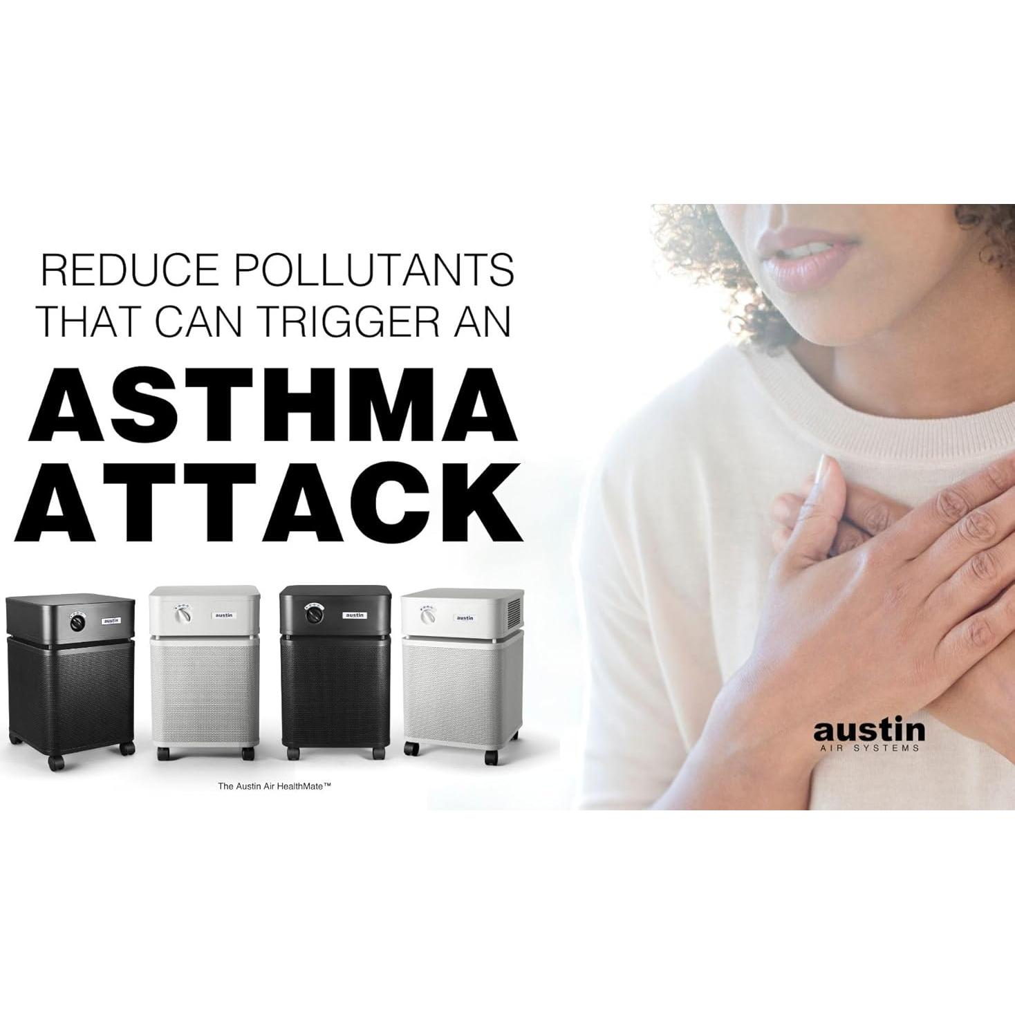 Purificador de Aire Austin Air HealthMate B400 - 4 Etapas, Negro