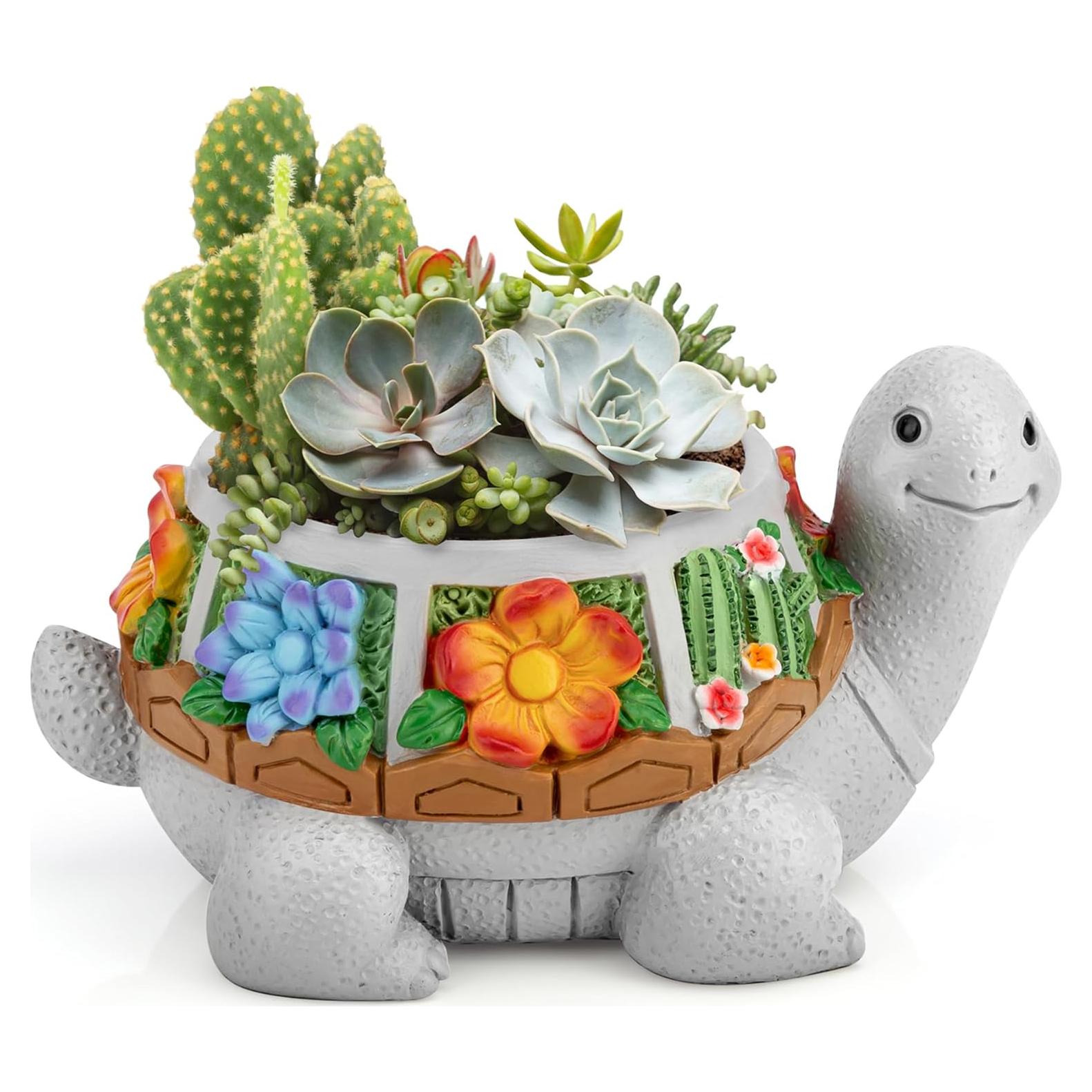 Maceta Tortuga LESES con Drenaje para Suculentas 15.24 cm