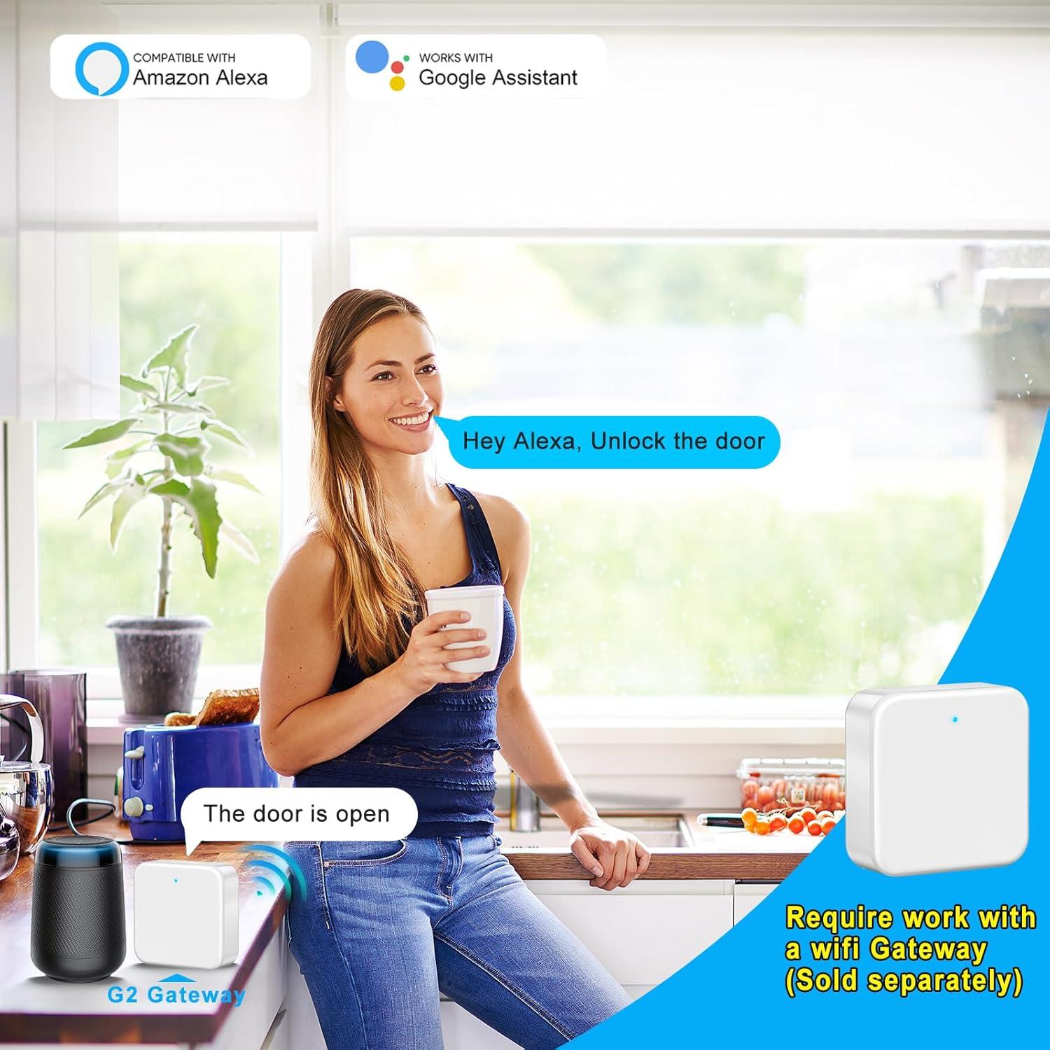 Cerradura inteligente Seifgard sin llave doble cilindro negra