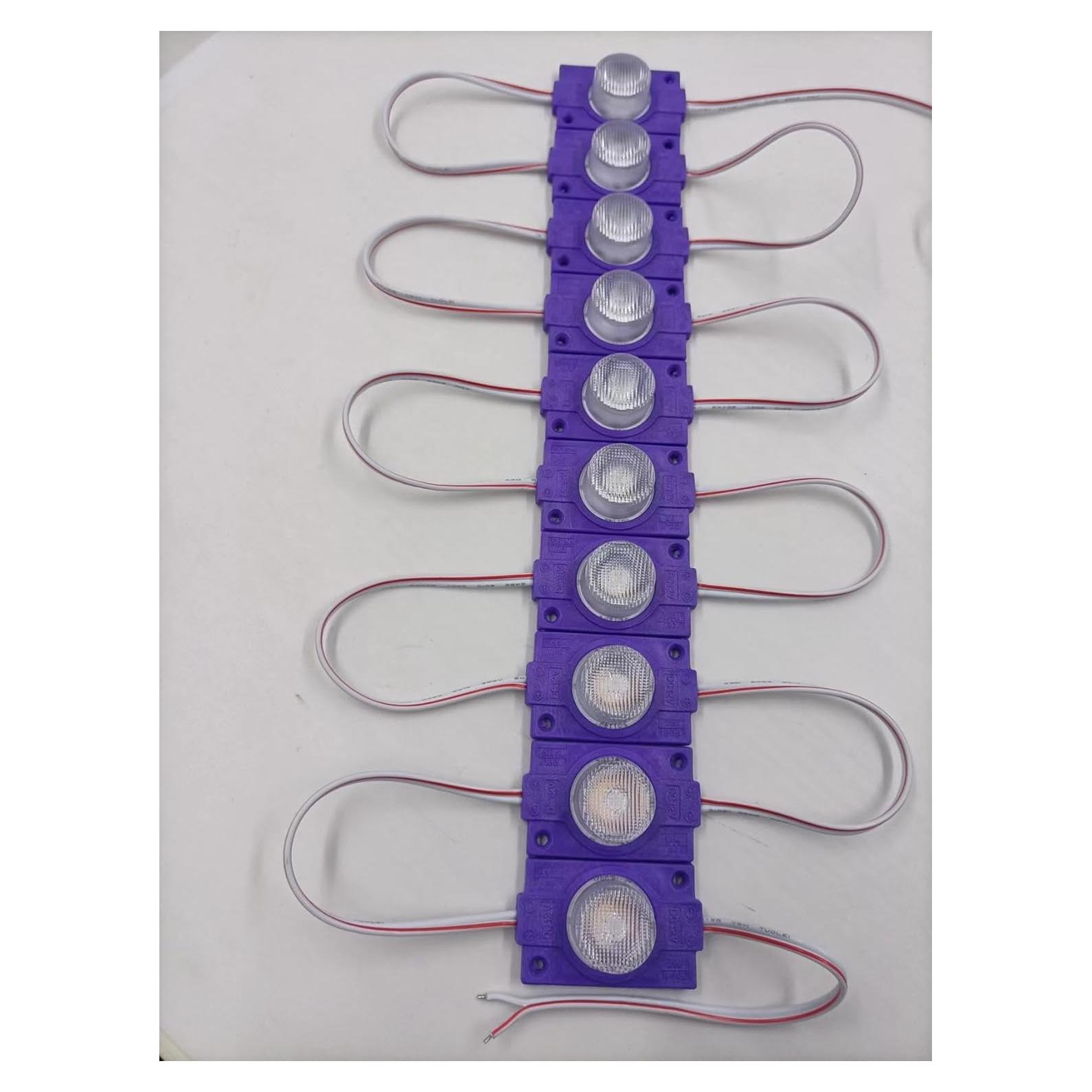 Módulos LED Q QINGCHEN 12V Púrpura IP65 2.0W - Paquete 20