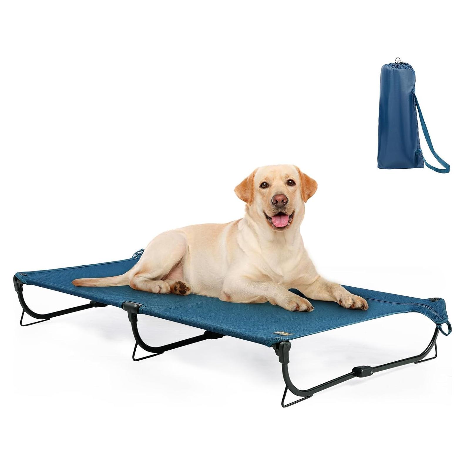 Cama Elevada Plegable para Perros Grande Canine Canyon Azul