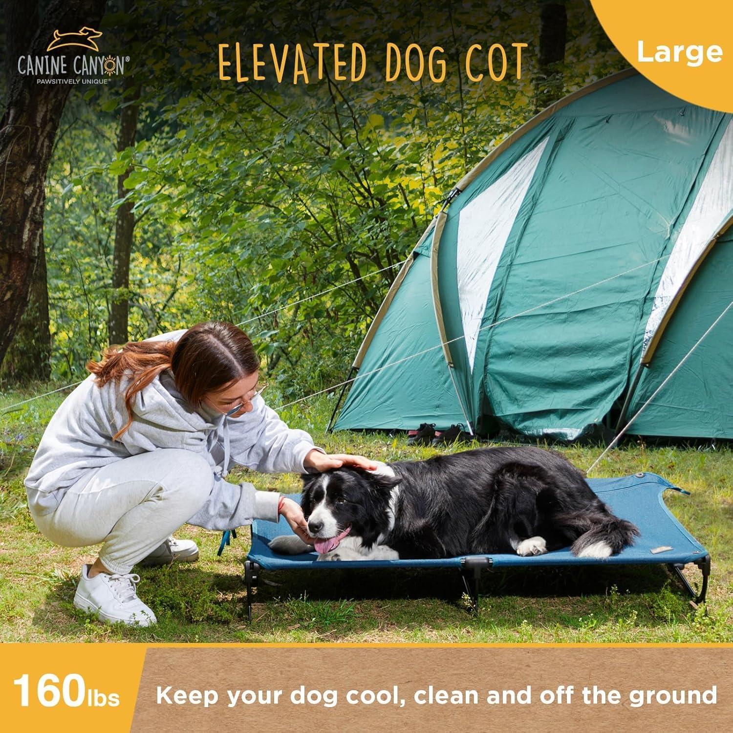Cama Elevada Plegable para Perros Grande Canine Canyon Azul