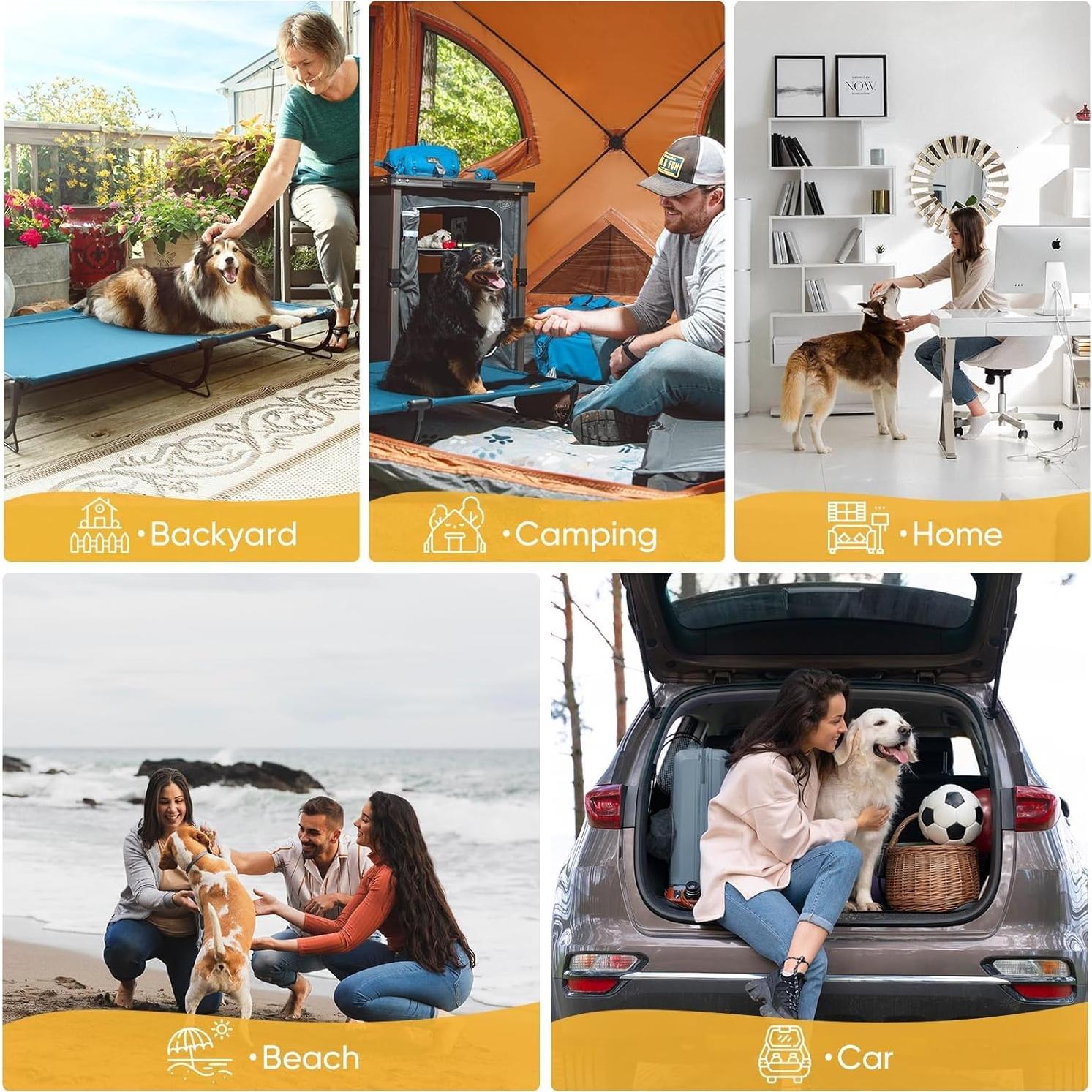 Cama Elevada Plegable para Perros Grande Canine Canyon Azul