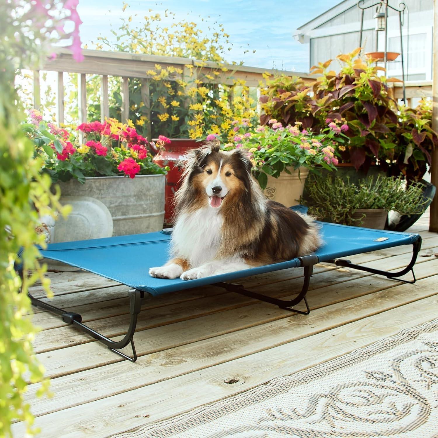Cama Elevada Plegable para Perros Grande Canine Canyon Azul
