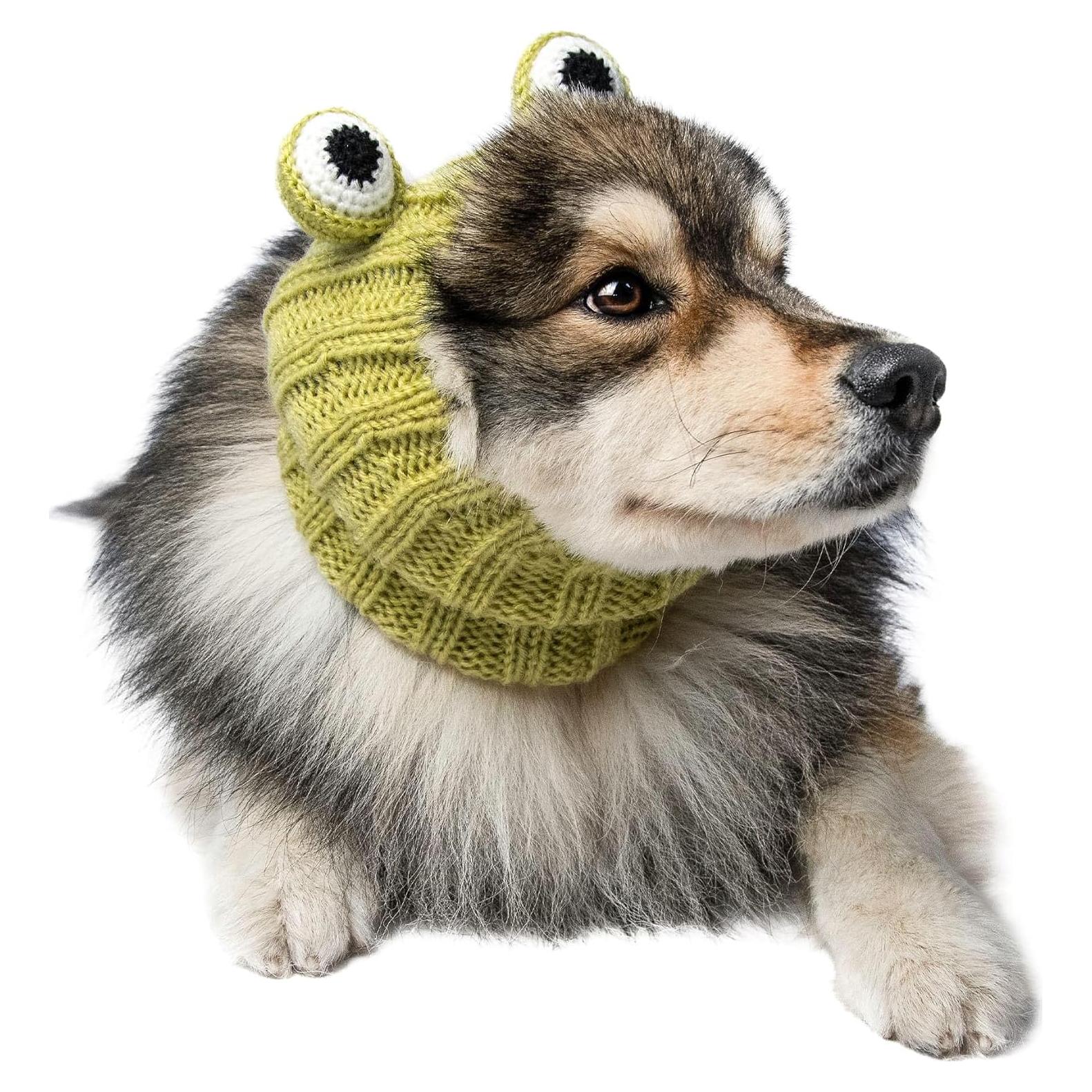 Disfraz de Snood de Rana para Perro Mediano Zoo Snoods