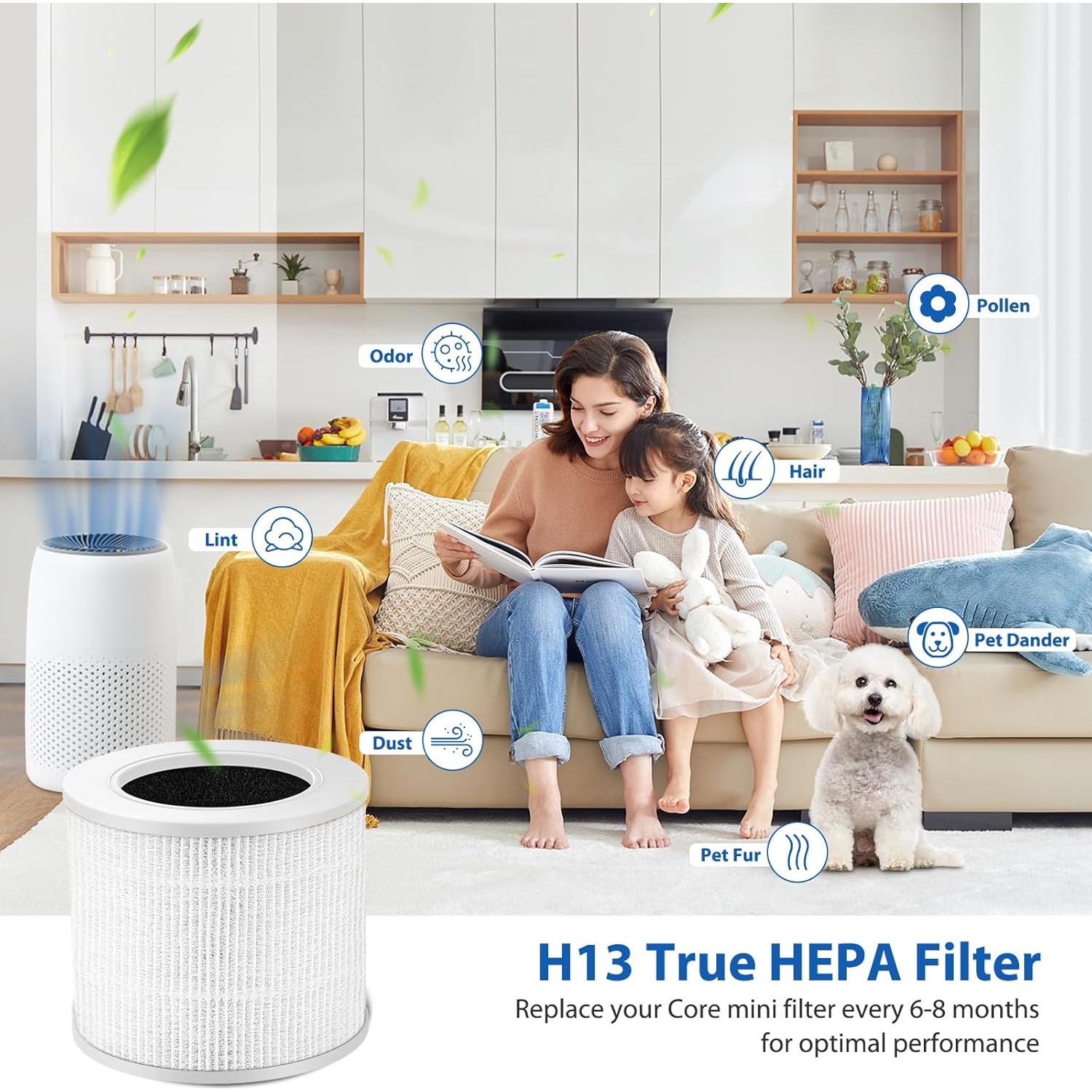 Paquete de 2 Filtros HEPA H13 Colorfullife para Purificador LEVOIT