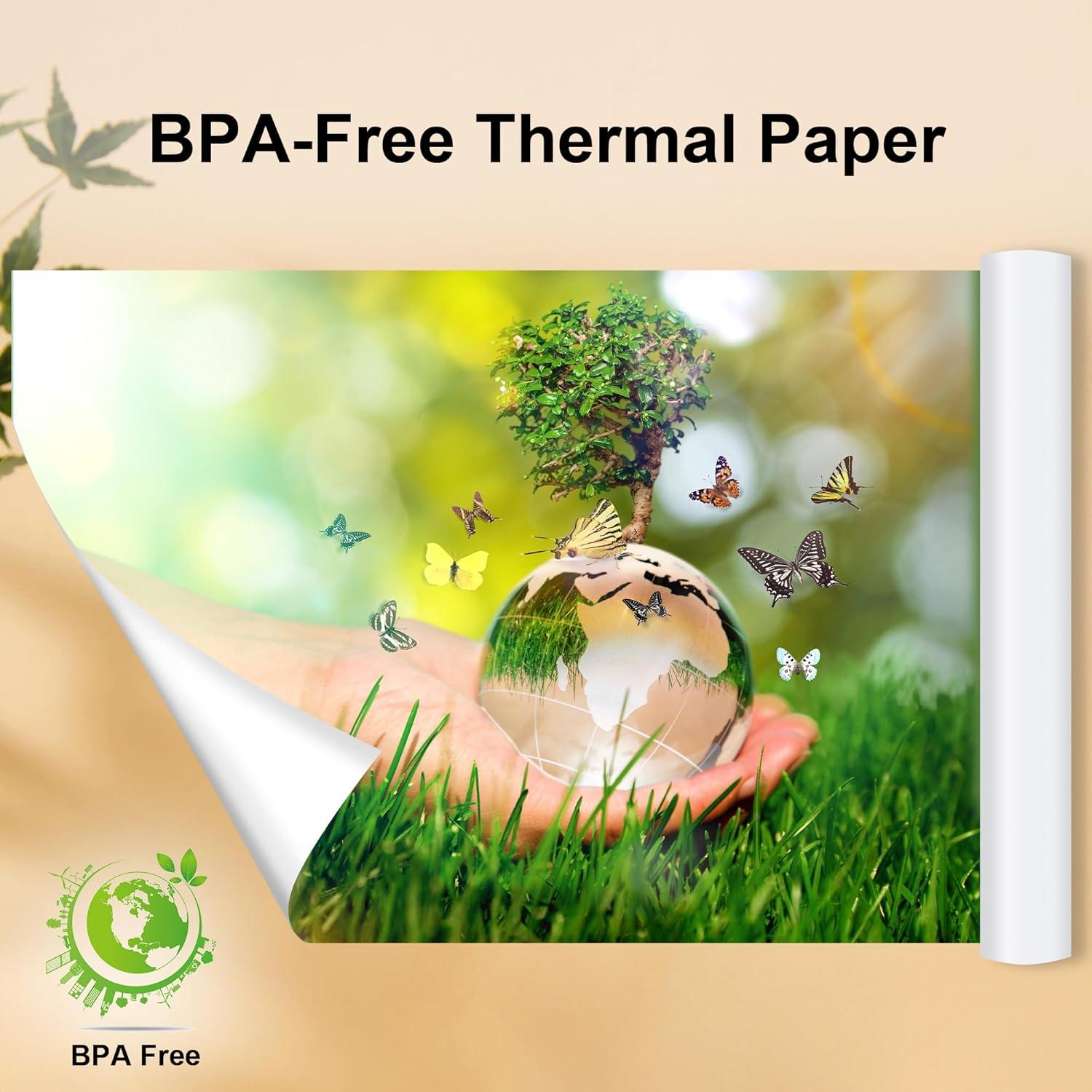 4 Rollos Papel Térmico 21.6x27.9cm Phomemo M832 Compatible