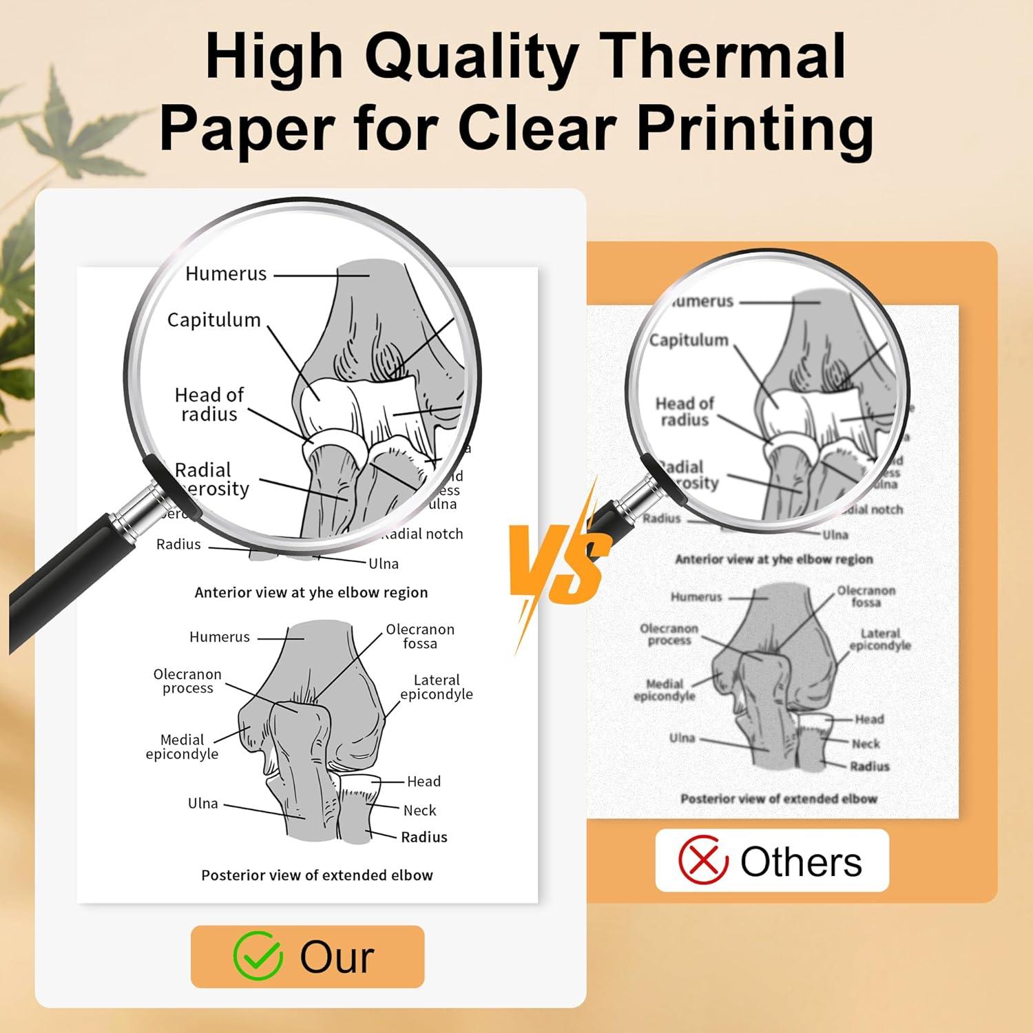 4 Rollos Papel Térmico 21.6x27.9cm Phomemo M832 Compatible