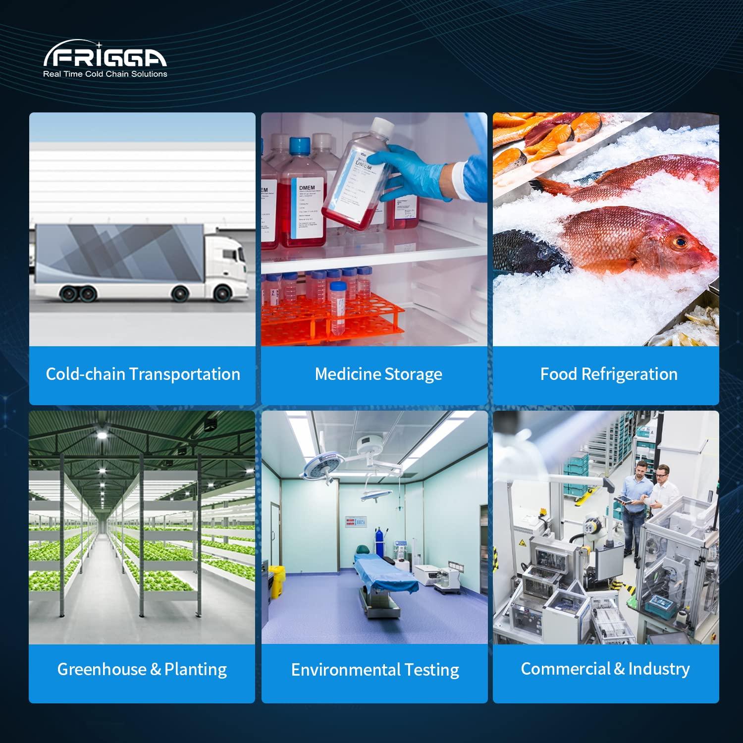 Registrador de Datos de Temperatura Frigga M1E USB Precisión Alta