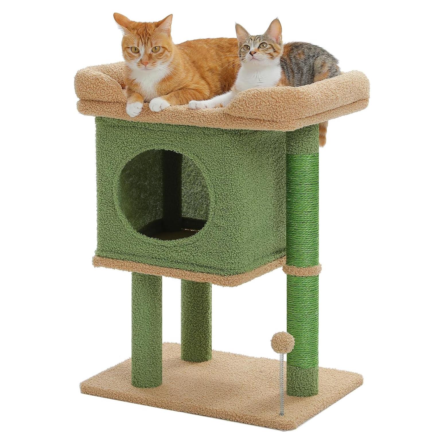 Árbol para Gatos PAWZ Road 66 cm Cactus con Perchero y Postes