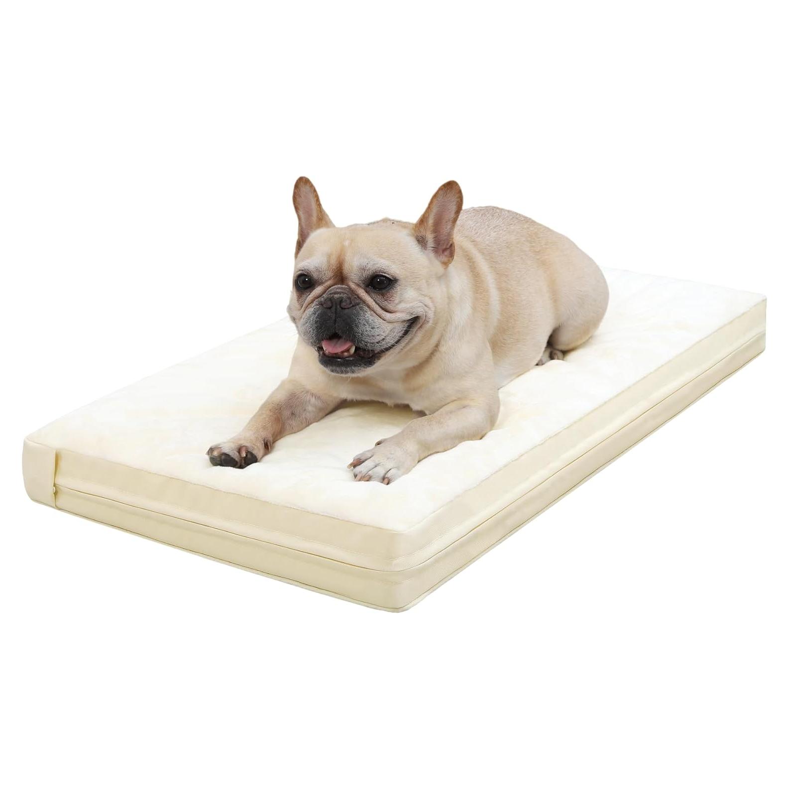 Cama ortopédica para perros Vonabem 58x43 cm impermeable beige
