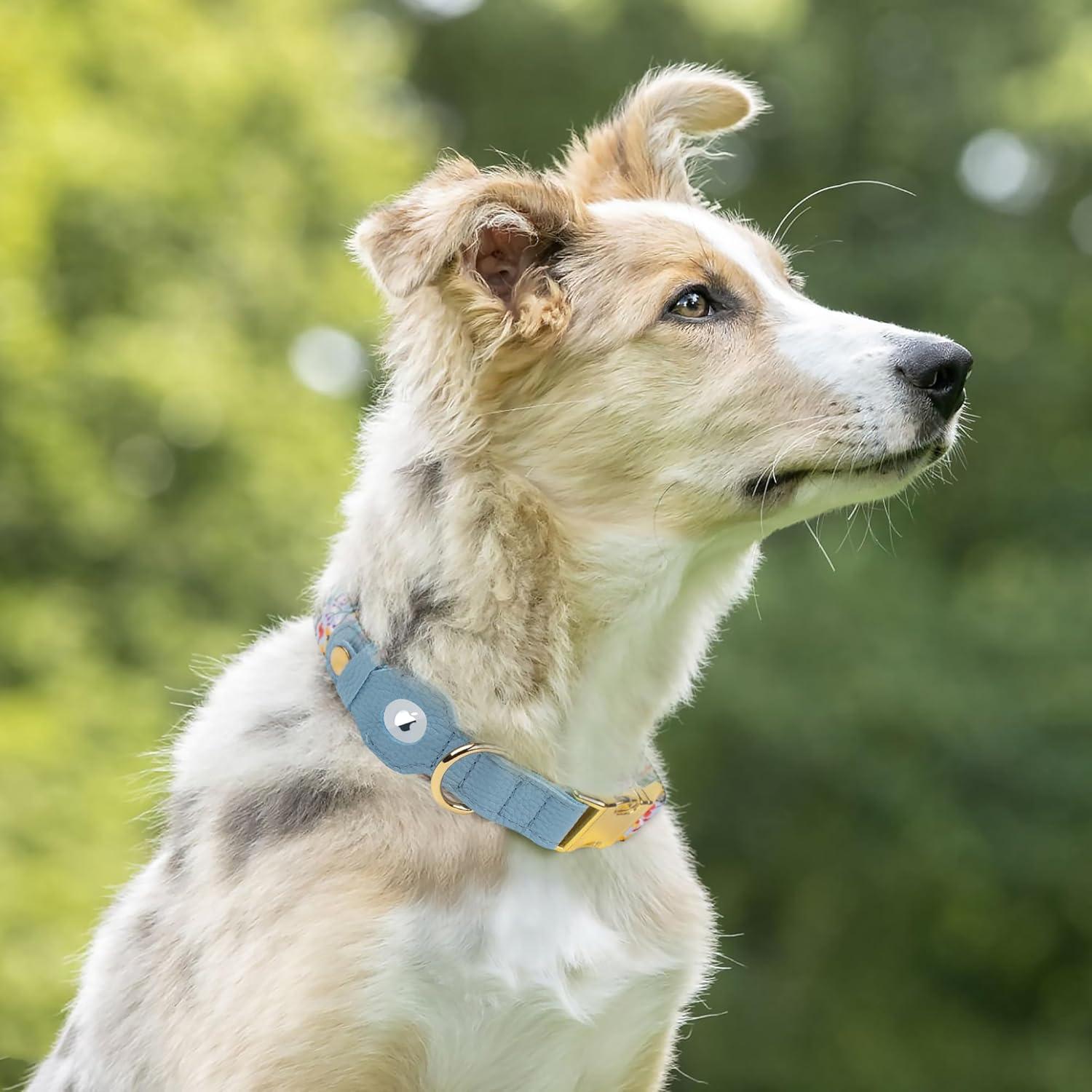 Collar para Perros Budkas AirTag Ajustable Cuero Floral 23-31 cm