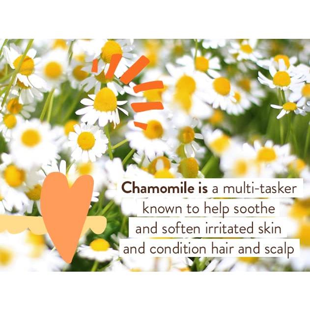 Jabón Espumoso para Bebés Babo Botanicals Sin Fragancia 325g