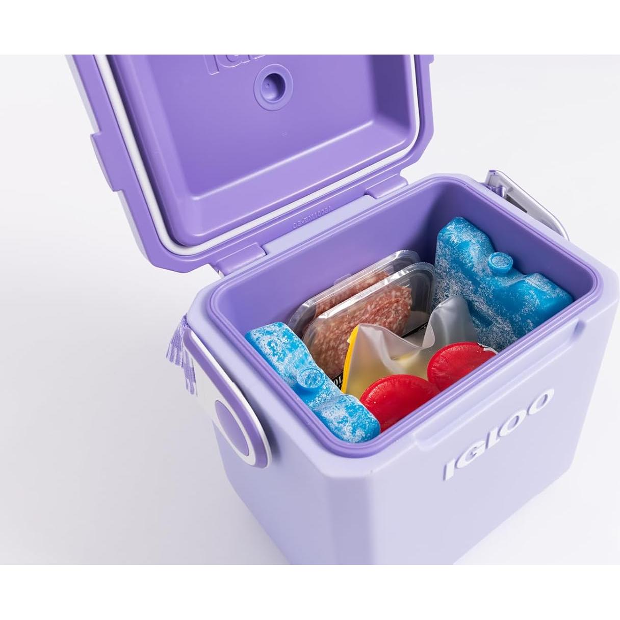 Bloque de Hielo Reutilizable Igloo Maxcold 2PK Grande