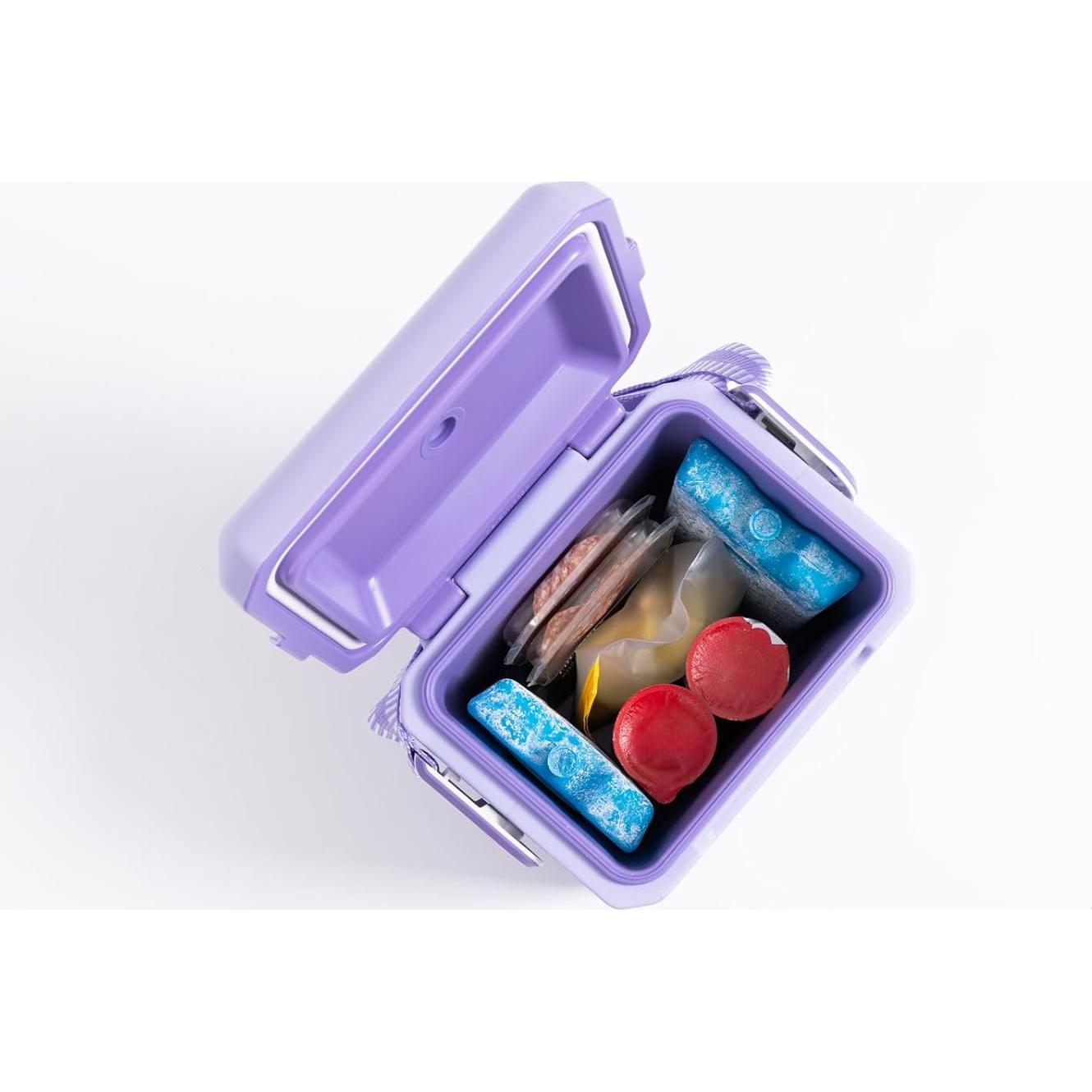 Bloque de Hielo Reutilizable Igloo Maxcold 2PK Grande