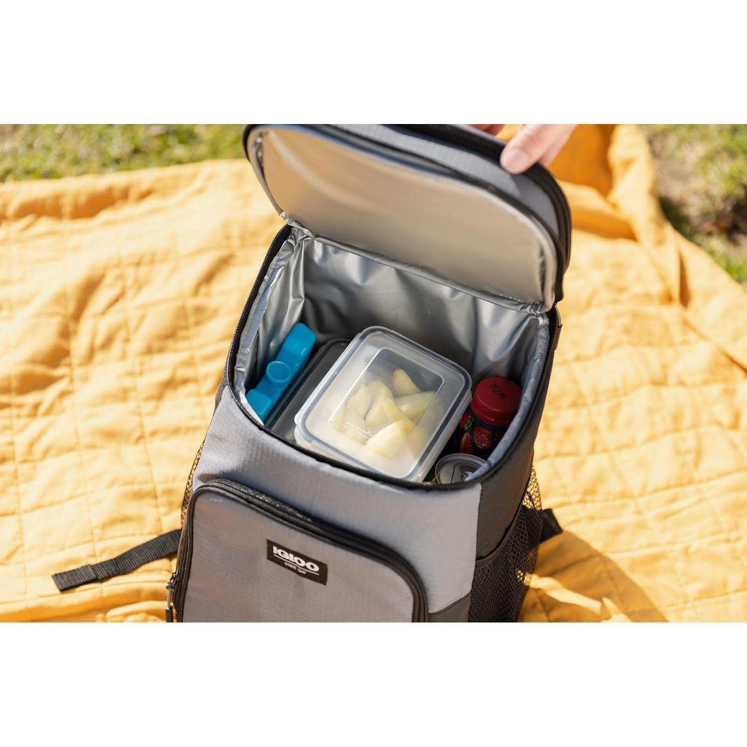 Bloque de Hielo Reutilizable Igloo Maxcold 2PK Grande