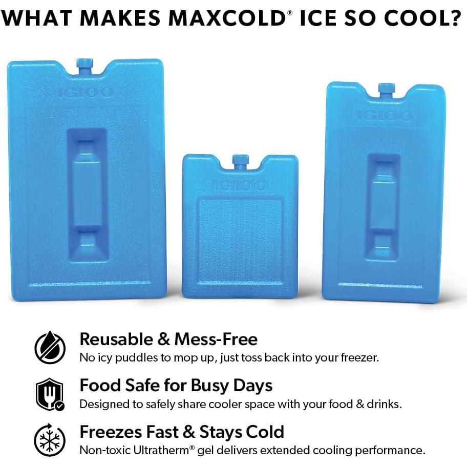 Bloque de Hielo Reutilizable Igloo Maxcold 2PK Grande