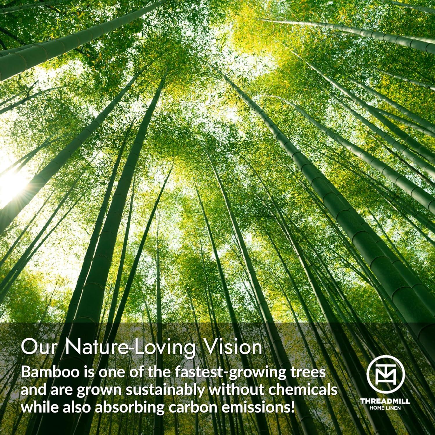 Juego de Sábanas Completas Threadmill Rayón Bambú 4 Piezas Beige