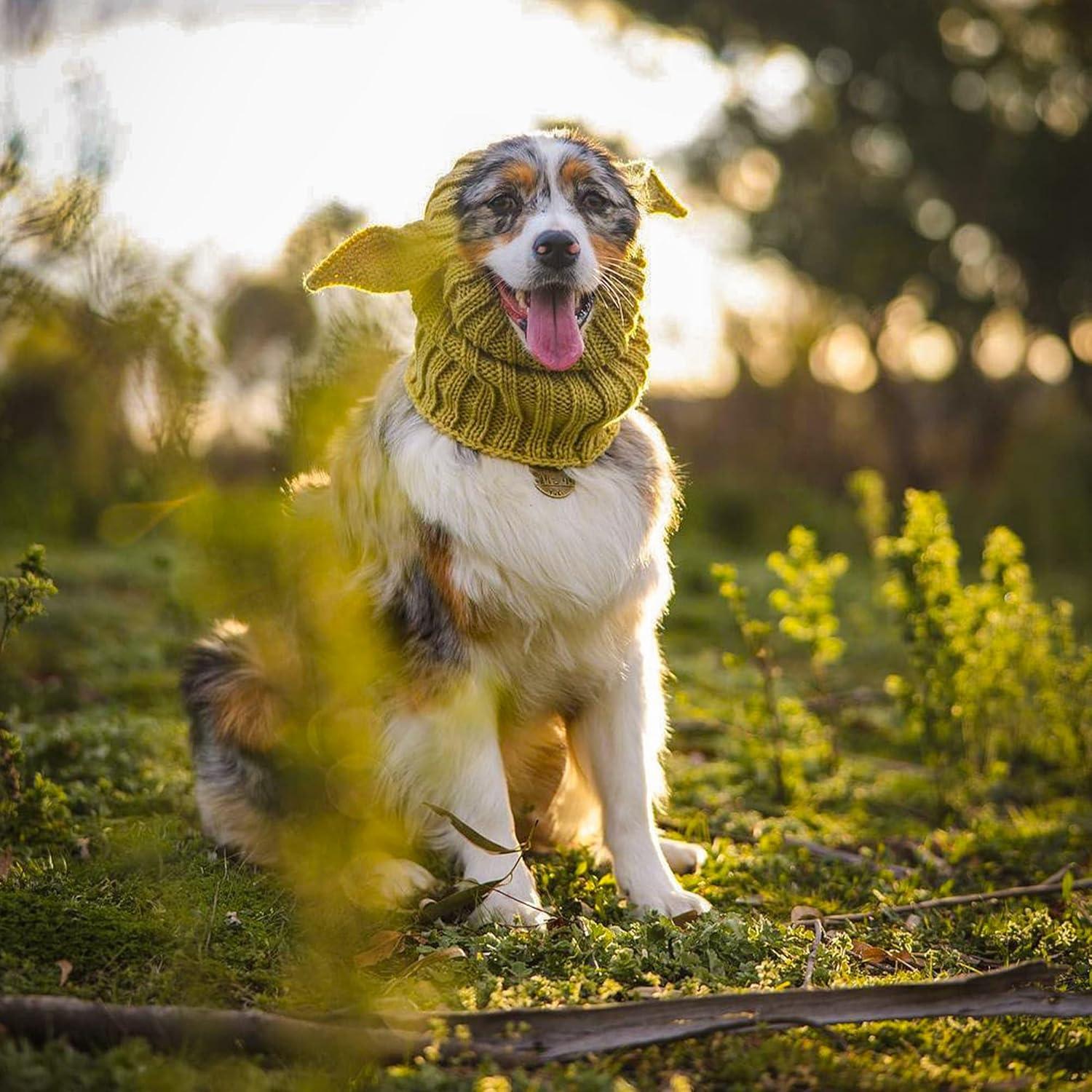 Disfraz Snood Baby Yoda Zoo Snoods para Perro Pequeño Verde