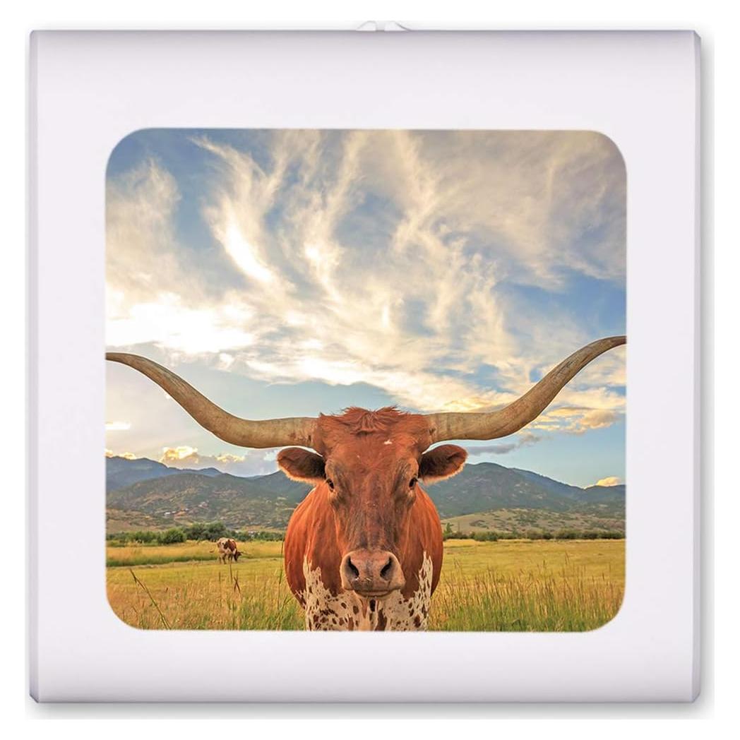 Luz Nocturna LED Regulable Art Plates con Sensor Automático