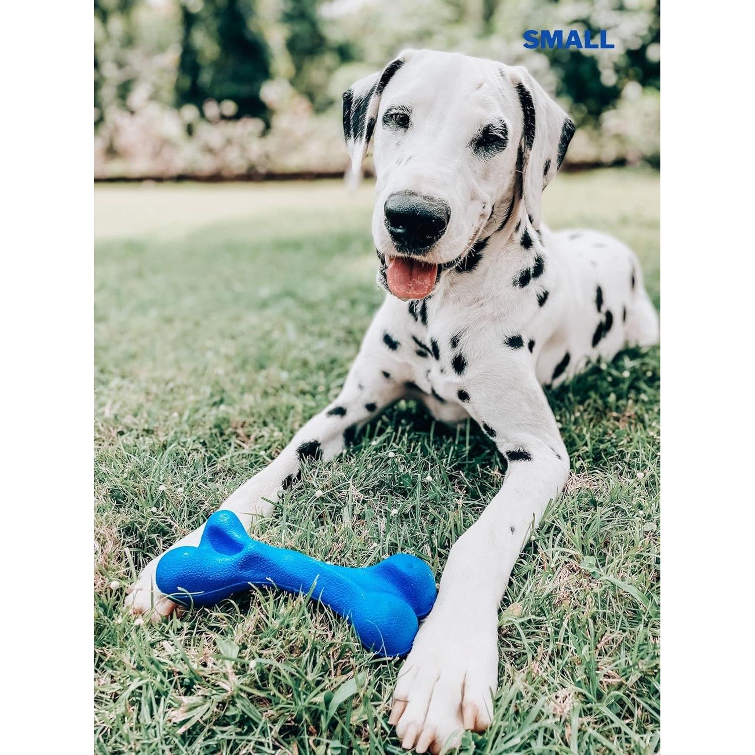 Juguete de Hueso para Perros Tuff Pupper 12.7 cm Resistente