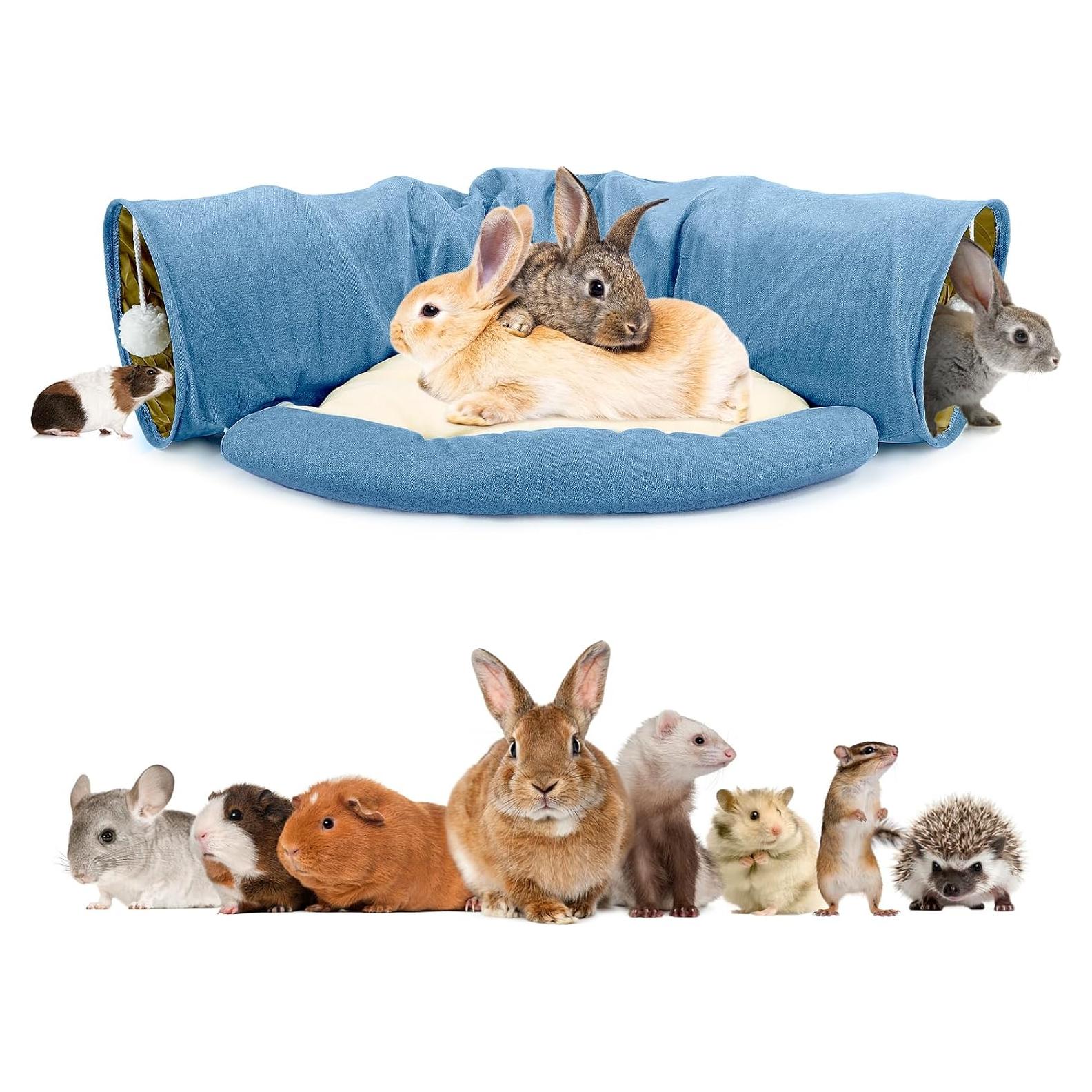 Cama túnel BWOGUE para conejos y gatos, colapsable 2 en 1