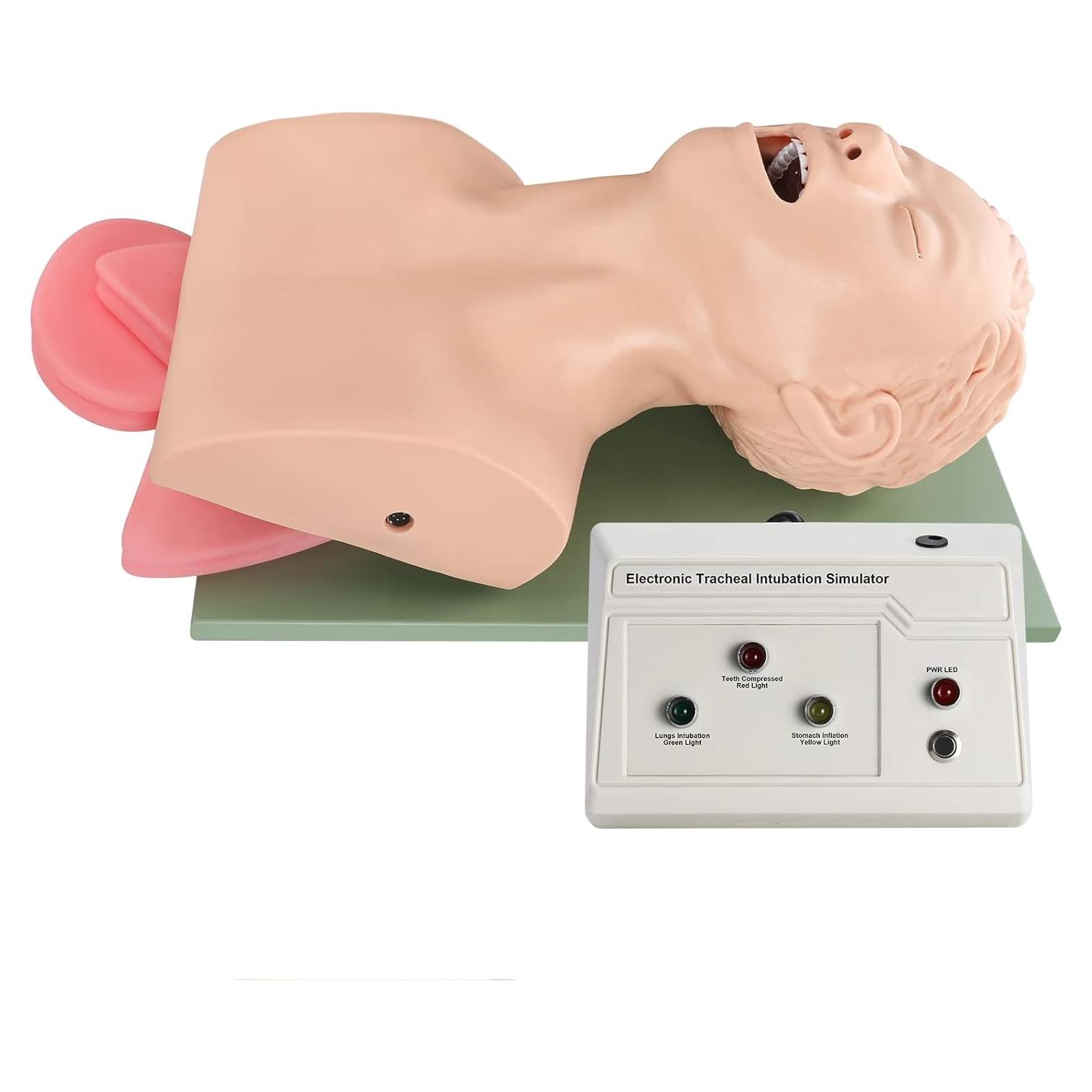 Simulador de Intubación Endotraqueal Healthible - Maniquí Adulto PVC