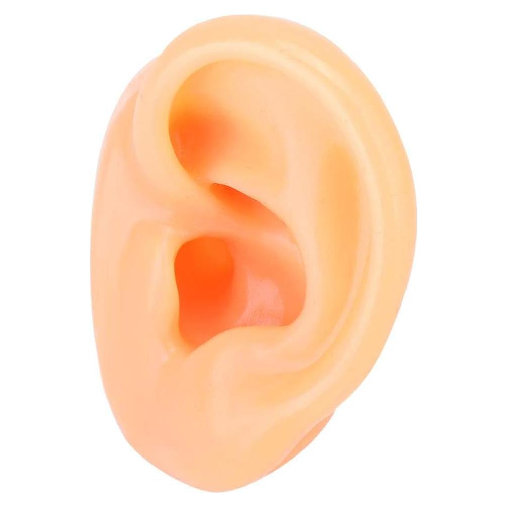 Modelo de Oreja Humana de Silicona Suave para Exhibición