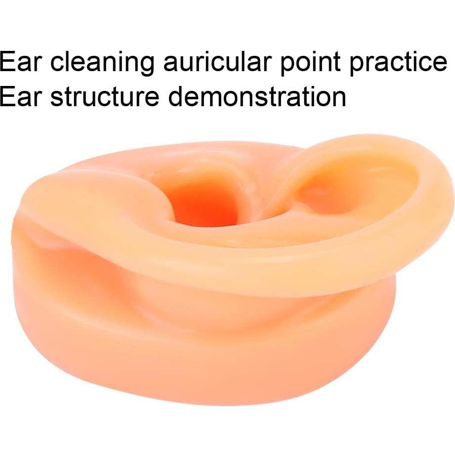 Modelo de Oreja Humana de Silicona Suave para Exhibición