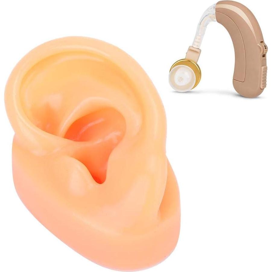 Modelo de Oreja Humana de Silicona Suave para Exhibición