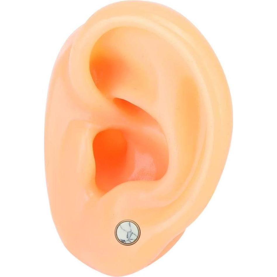 Modelo de Oreja Humana de Silicona Suave para Exhibición