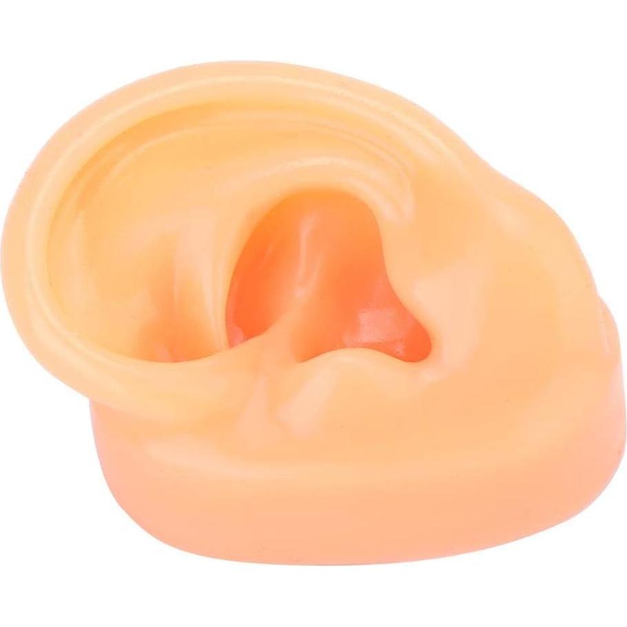 Modelo de Oreja Humana de Silicona Suave para Exhibición