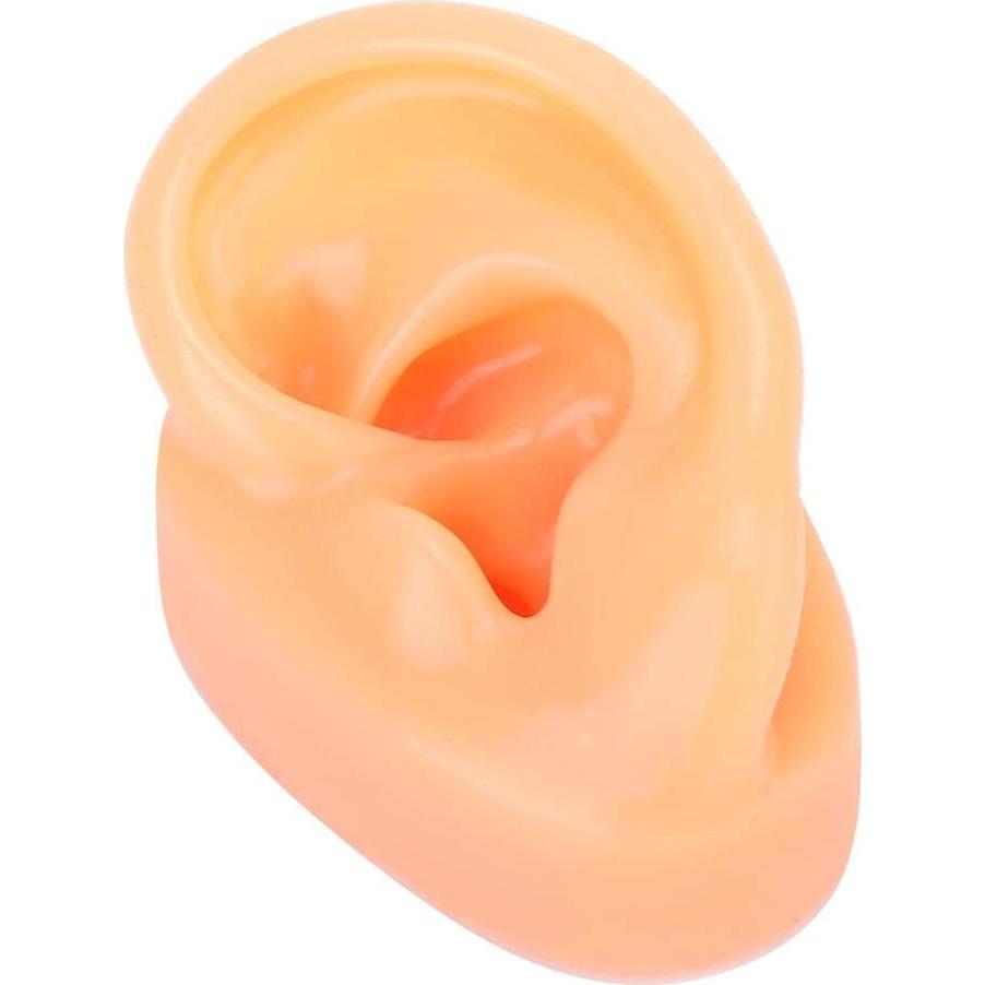 Modelo de Oreja Humana de Silicona Suave para Exhibición