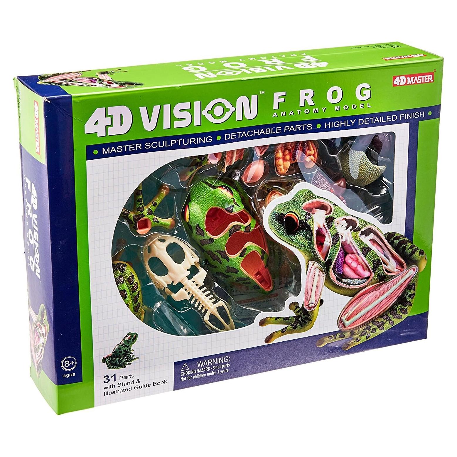 Modelo de Anatomía de Rana 4D Tedco 15.24 cm 31 Piezas