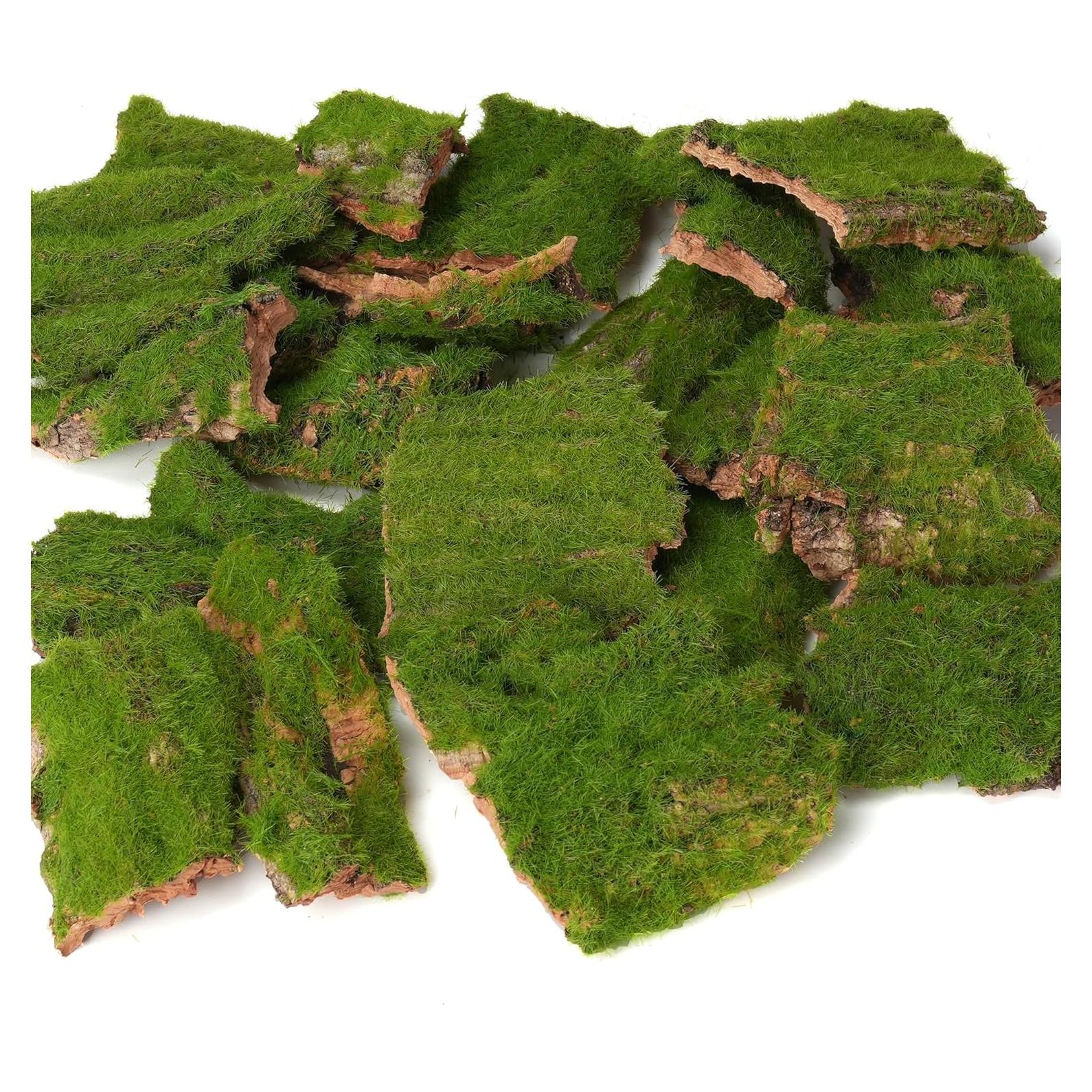 Corteza Artificial con Musgo BYHER - 100g para Manualidades