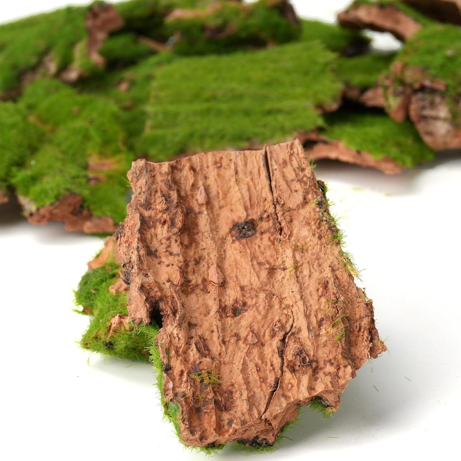 Corteza Artificial con Musgo BYHER - 100g para Manualidades