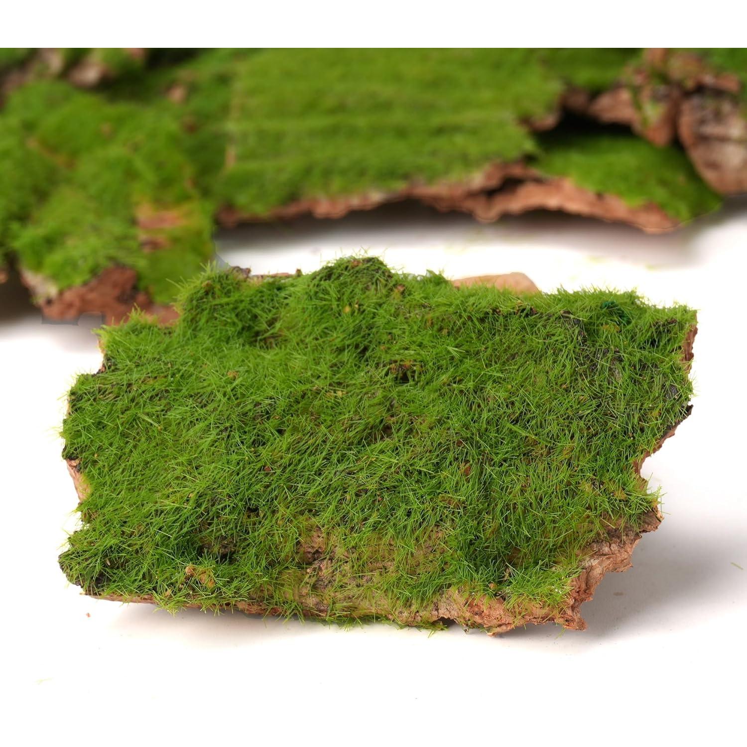 Corteza Artificial con Musgo BYHER - 100g para Manualidades