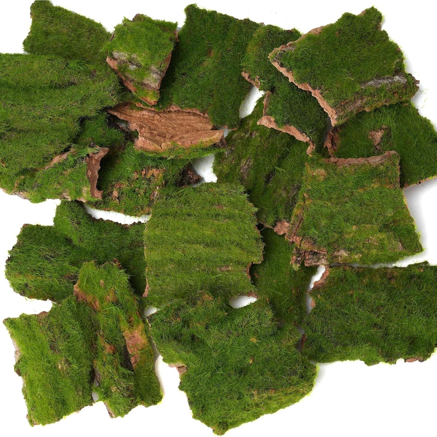 Corteza Artificial con Musgo BYHER - 100g para Manualidades