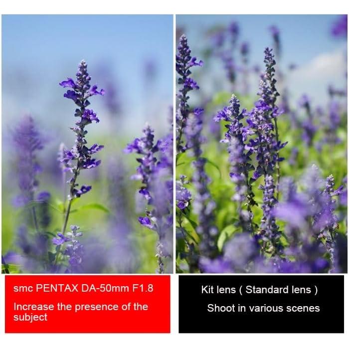 Objetivo Pentax DA 50mm f1.8 para cámaras DSLR - Bokeh suave