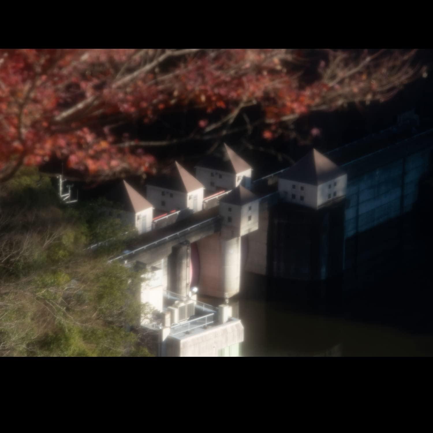 Filtro Difusor Hoya 58mm - Efecto Suave para Retratos