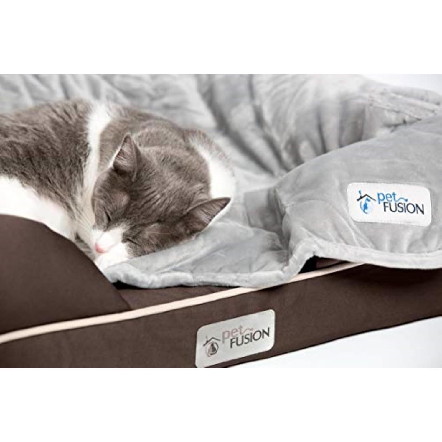 Cama para Perros PetFusion Ultimate Espuma de Memoria 63.5x50.8cm