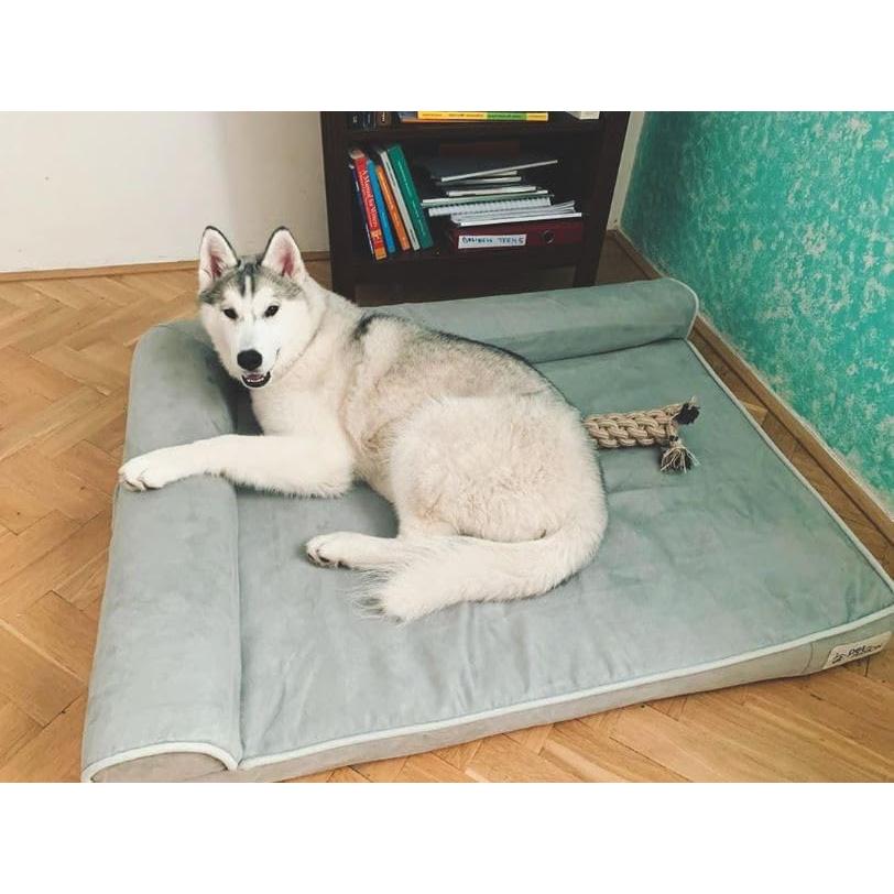 Cama Ortopédica para Perros PetFusion XL 111.8x86.4cm Espuma Memoria