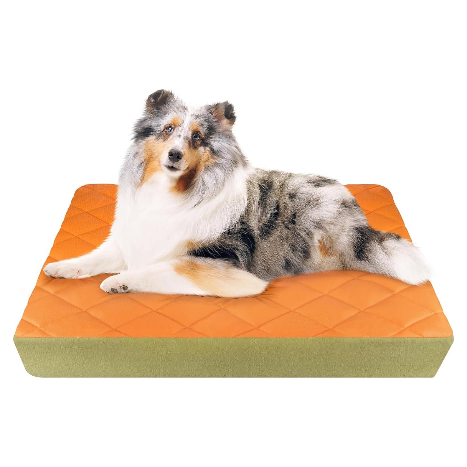 Cama Ortopédica Grande para Perros Paw Libero 90x60cm Impermeable
