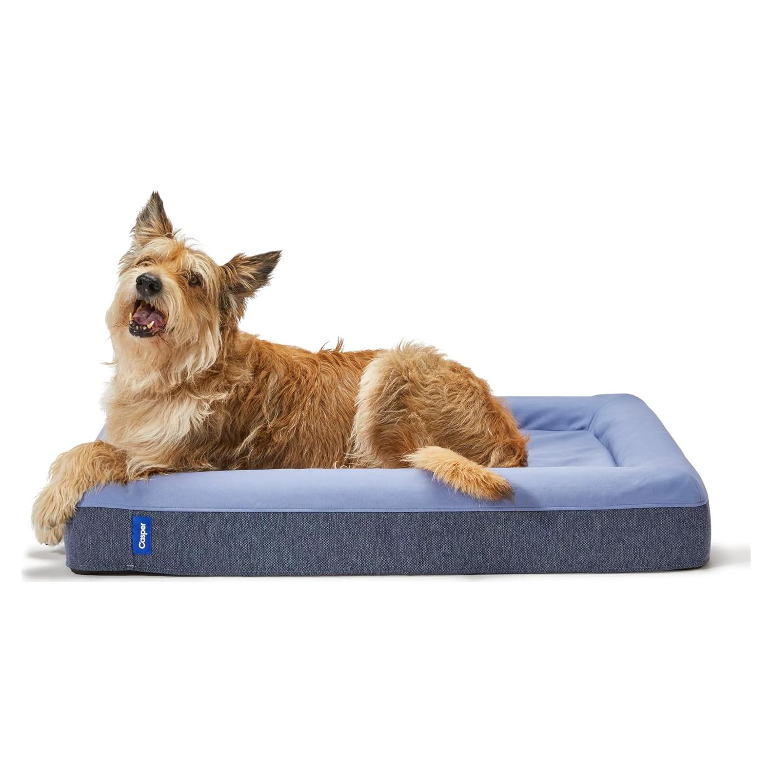 Cama para Perros Casper Mediana Espuma de Memoria Azul