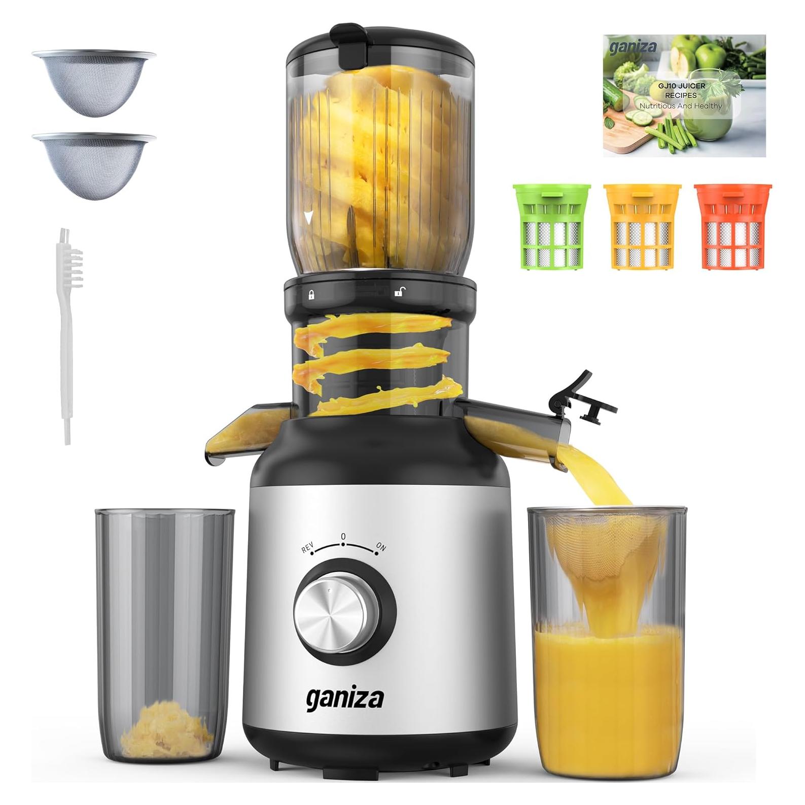 Exprimidor Masticador Ganiza GJ10 Plata 1.2kg 350W Fácil Limpieza