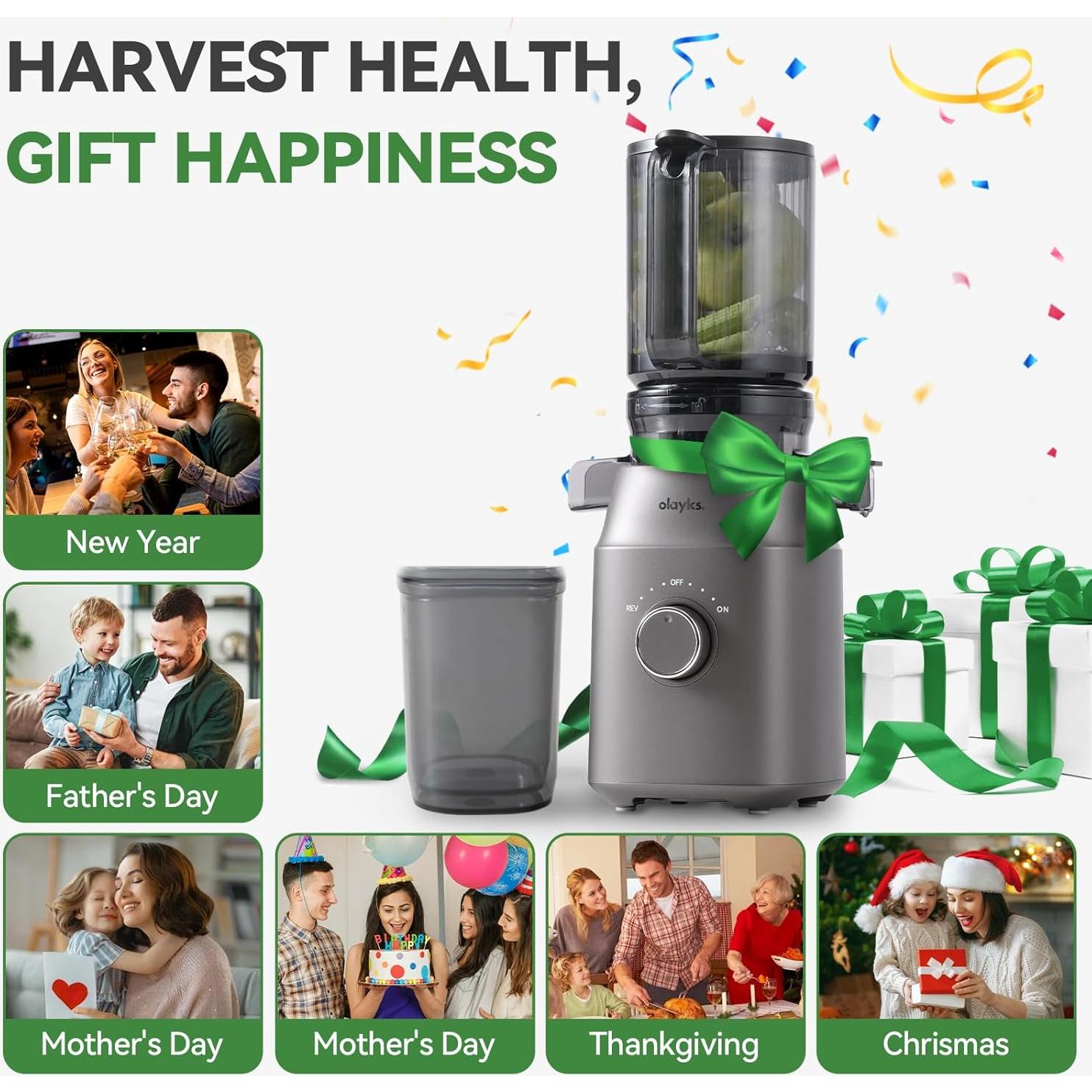 Exprimidor de Prensa Fría Olayks OLK-LJ02 1.18L Gris