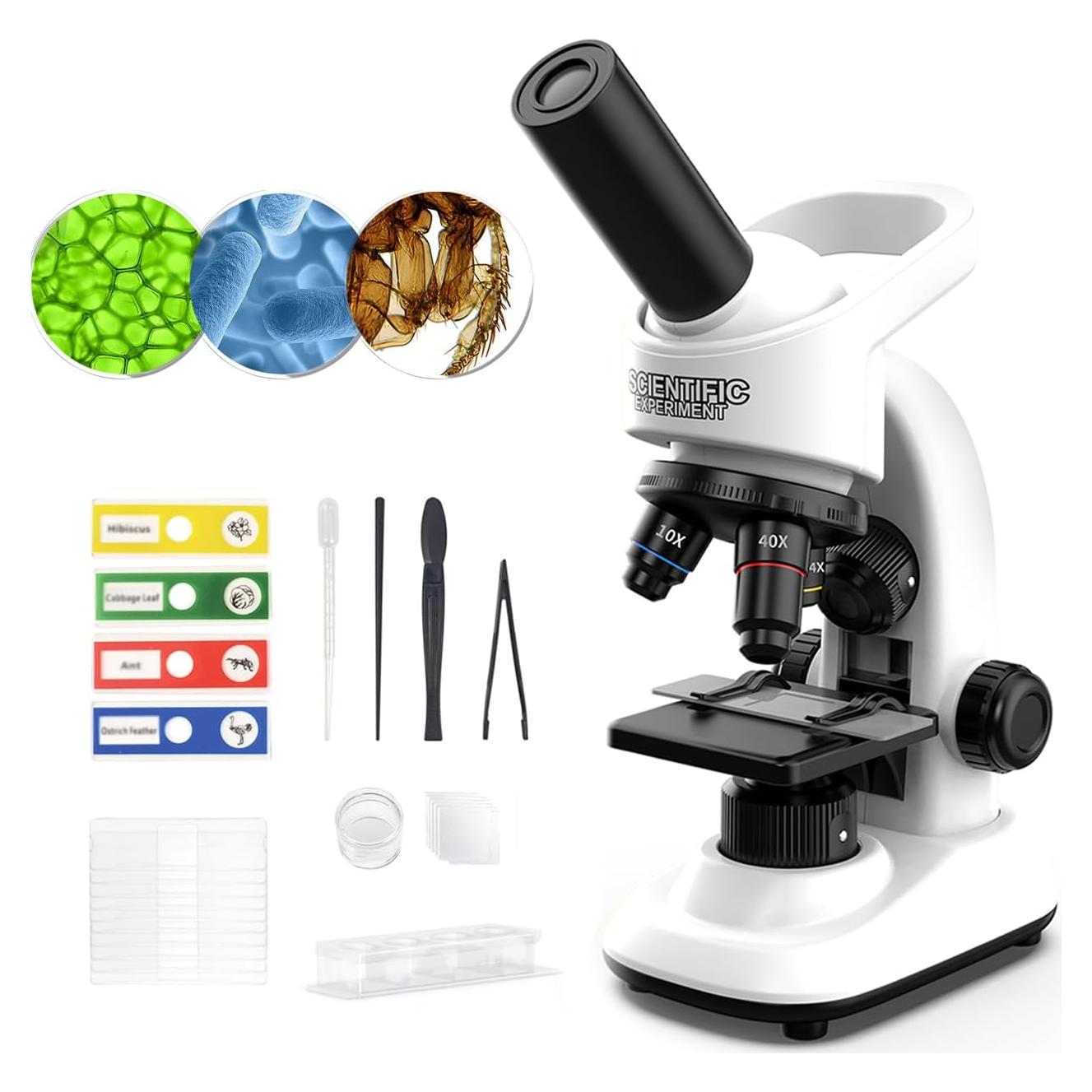Microscopio Educativo WSDMIC 40X-1600X con Luz LED y Accesorios